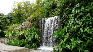 Водопад в саду пейзажного стиля