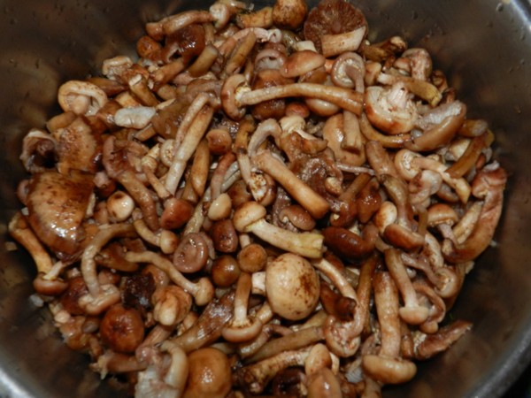 Вкусно готовим грибы: маринованные опята, пара рецепта