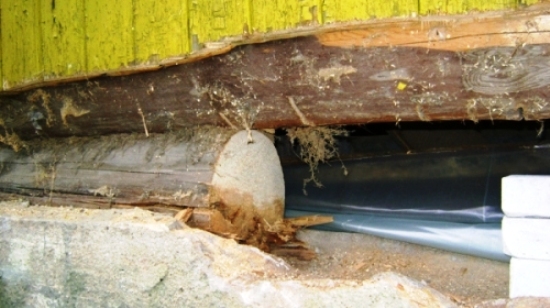 Ремонт деревянного пола
 своими руками — пошаговое фото-руководство