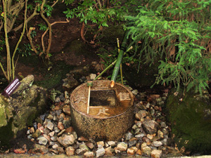 Сад в японском стиле: основные декоративные элементы