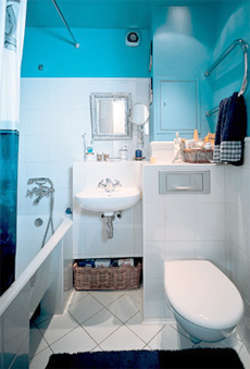 Совмещенный с ванной санузел
 в доме: плюсы и минусы объеденения