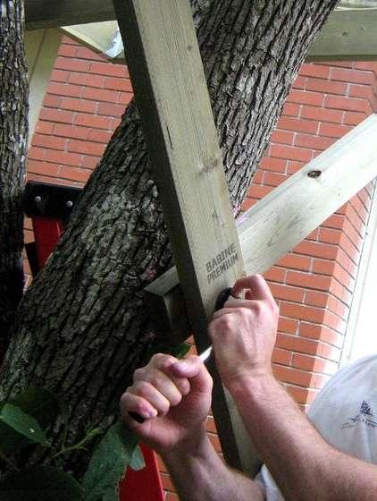 Как построить балок на дереве